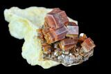 Red & Brown Vanadinite Crystal Cluster - Morocco #117716-1